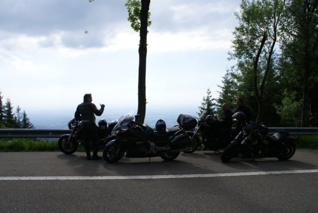 zwartewoud200903.jpg