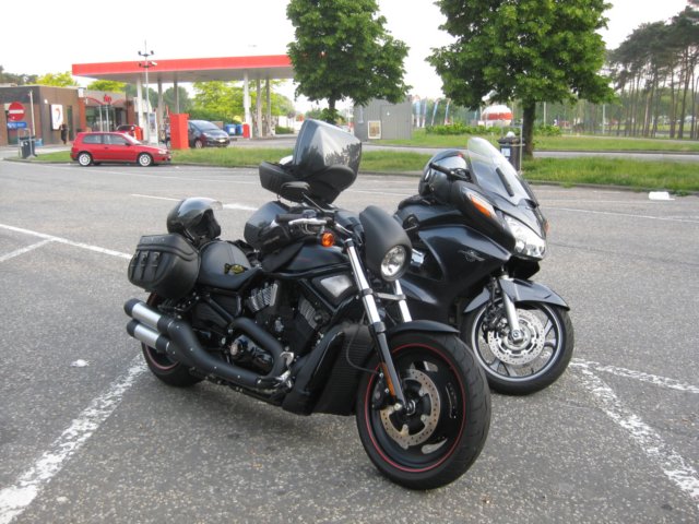zwartewoud200913.jpg