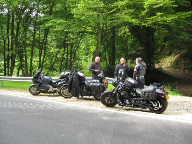 zwartewoud200918.jpg