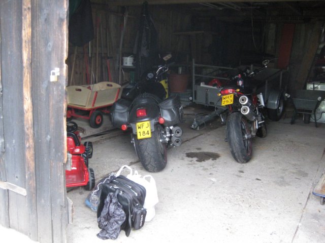zwartewoud200921.jpg