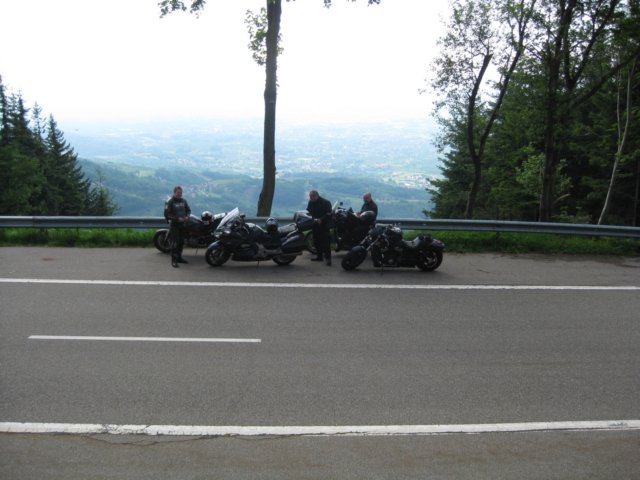zwartewoud200941.jpg